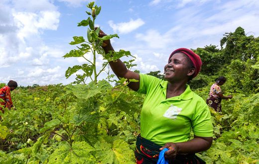 Promoting-women-economic-empowerment-in-West-and-Central-Africa