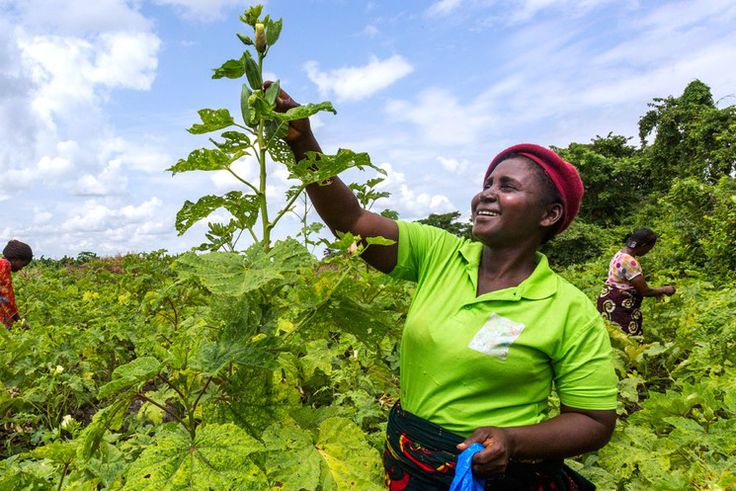 Promoting-women-economic-empowerment-in-West-and-Central-Africa