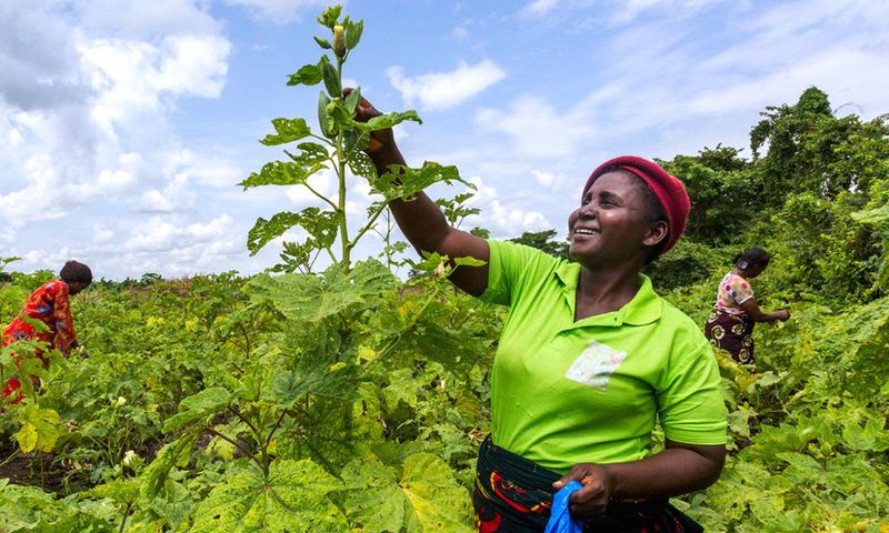 Promoting-women-economic-empowerment-in-West-and-Central-Africa