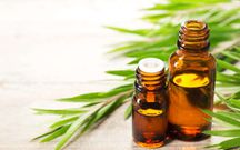 Huile d'arbre à thé