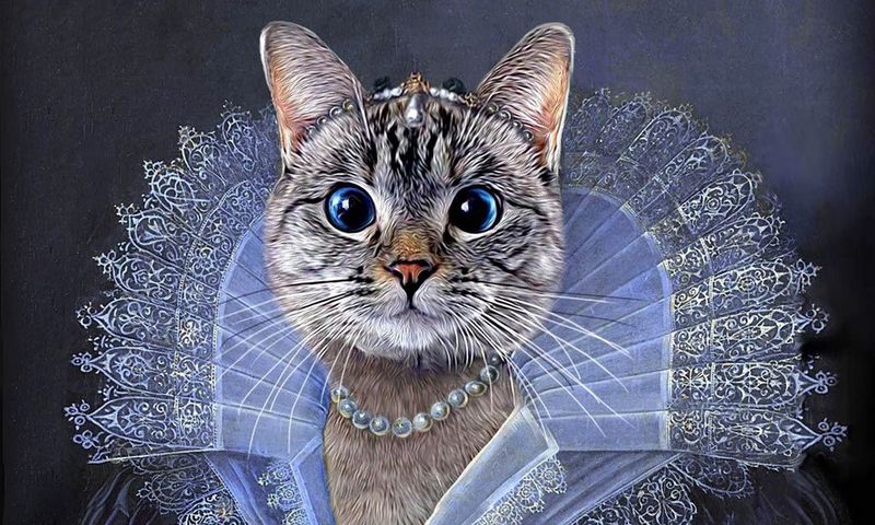 Nala, the richest cat in the world [PainInTheBud]