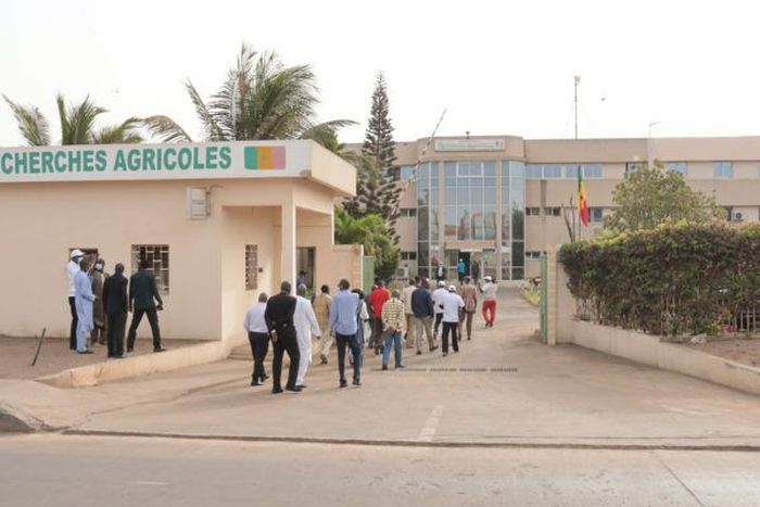 isra-direction-géénrale-600x400