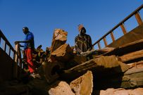 Abattage d'arbres en Guinée-Bissau