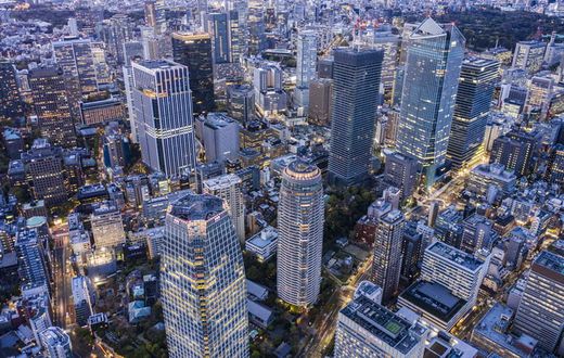 Le Japon est le pays le plus intelligent du monde - gettyimages