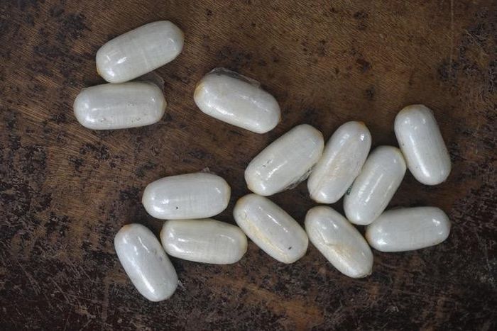 De la cocaïne préparée sous forme de boulettes ingurgitables