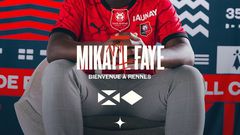 mikayil Fayee