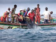 Des pêcheurs sénégalais