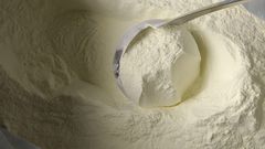 Lait en poudre