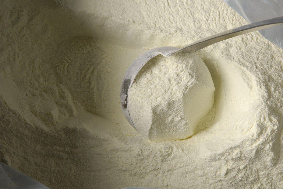 Lait en poudre