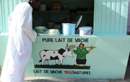 Production laitière