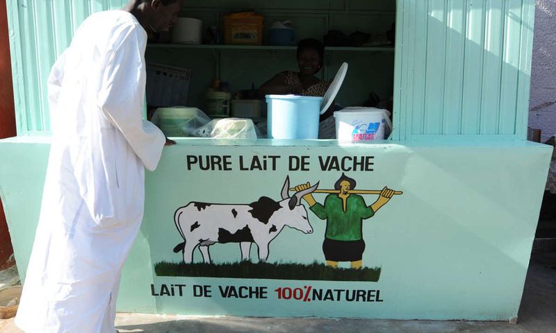 Production laitière