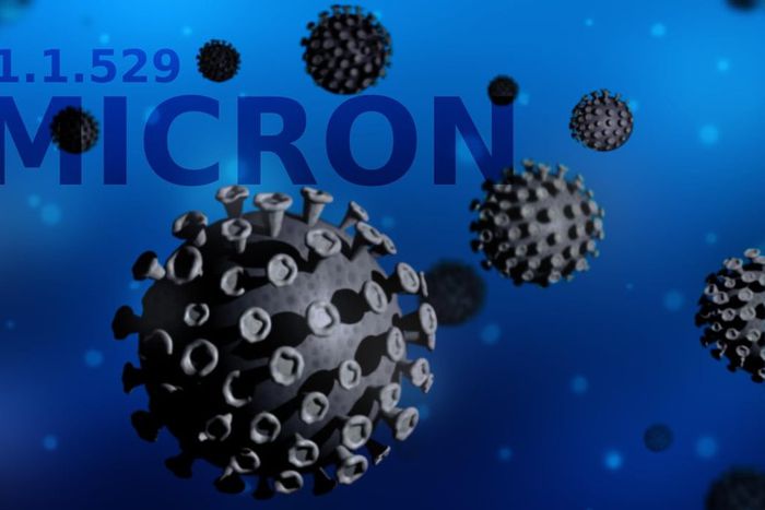 variant-omicron-covid19