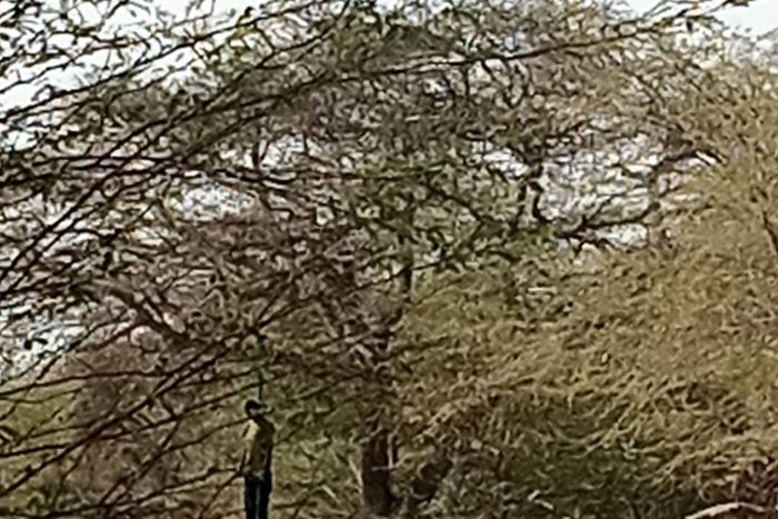 Le corps sans vie pendu à un arbre