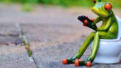 grenouille sur des toilettes avec son smartphone field image principale 1