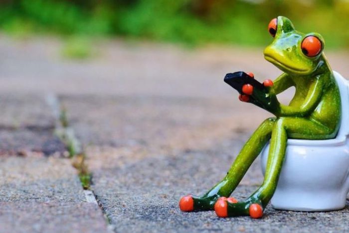 grenouille sur des toilettes avec son smartphone field image principale 1