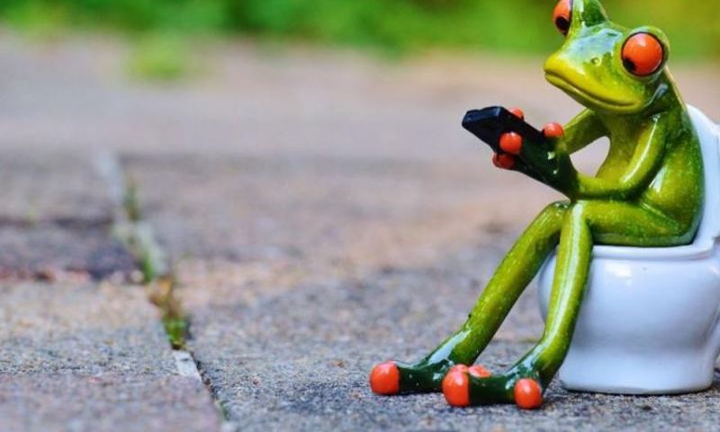 grenouille sur des toilettes avec son smartphone field image principale 1