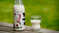 Lait de vache