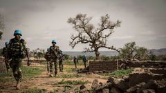 Un bataillon sénégalais déployé dans la région de Mopti pour sécuriser les populations - septembre 2019  (2)