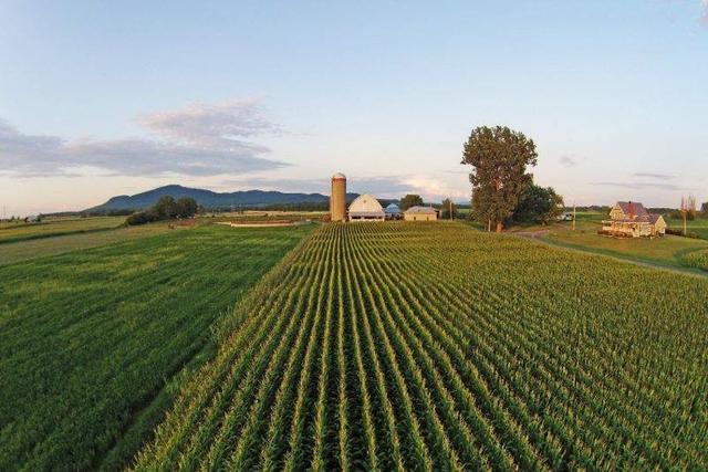 terres agricoles