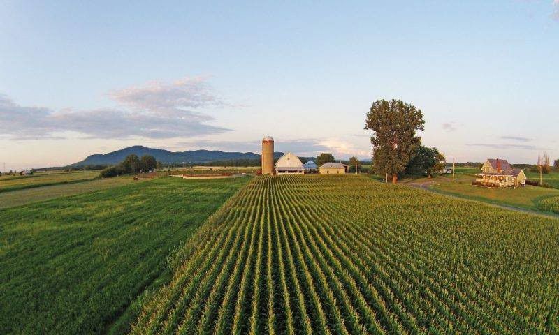 terres agricoles