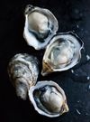 Coquillages