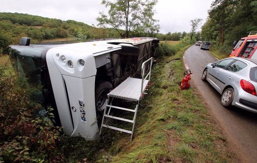 buss