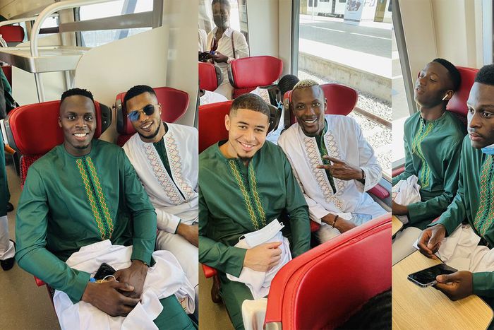 Les-lions-photographiés-dans-le-TER