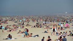 canicule au Royaume Uni