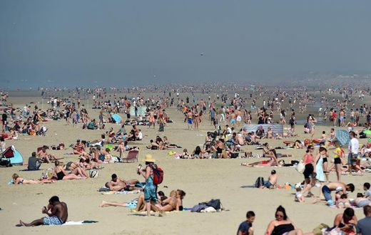 canicule au Royaume Uni