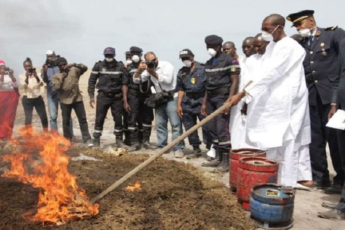 Incinération chanvre indien