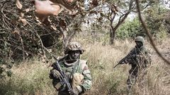 Soldats sénégalais en Casamance