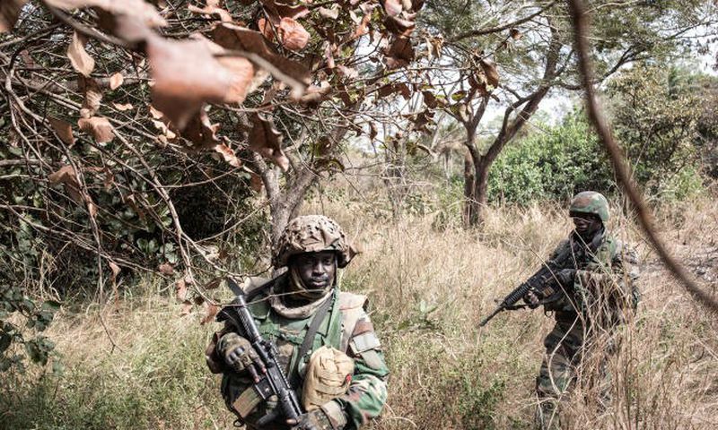 Des militaires sénégalais patrouillent dans la forêt de Blaze, en Casamance, le 9 février 2021.