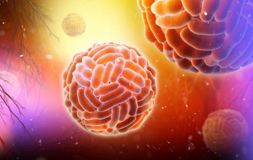 Zika-Virus-24-M (1)