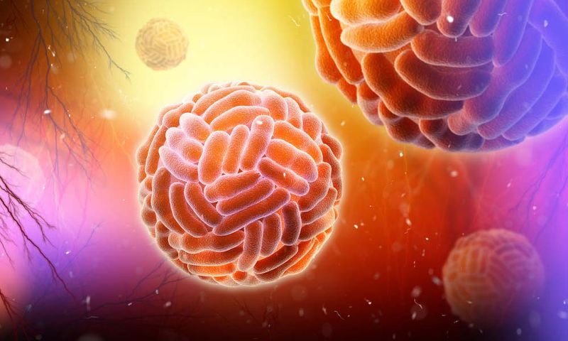 Zika-Virus-24-M (1)
