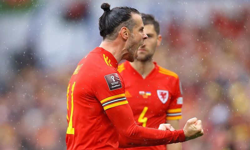 Gareth Bale celebrates the goal against Ukraine