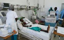 Fièvre de la Vallée du Rift : Comprendre le virus qui se transmet de l’animal à l’homme