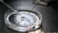 The IVF process is a form of assisted reproductive technology (ART) where an egg is fertilised outside the body, typically in a laboratory.