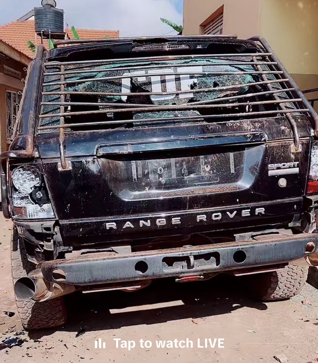 Alien Skin, Pallaso should have come to me – Mayiga