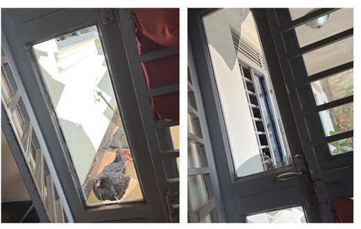 Pallaso's home was ransacked by a gang on Thursday