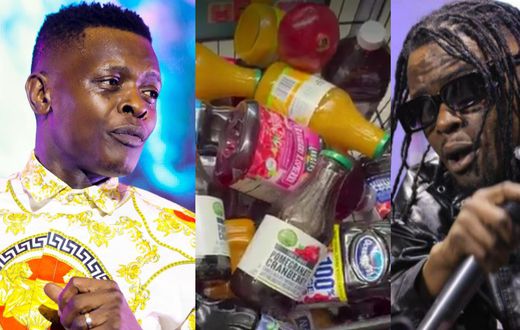 Chameleone, a screenshot from the video and Weasel