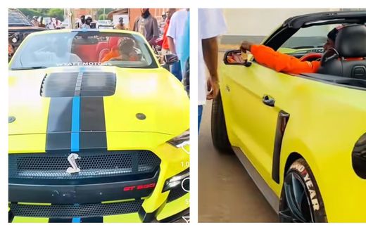 Alien Skin's Ford Mustang