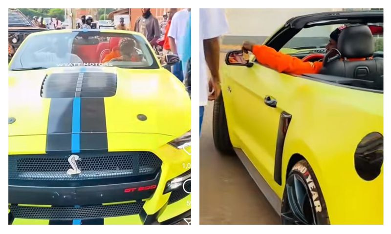 Alien Skin's Ford Mustang