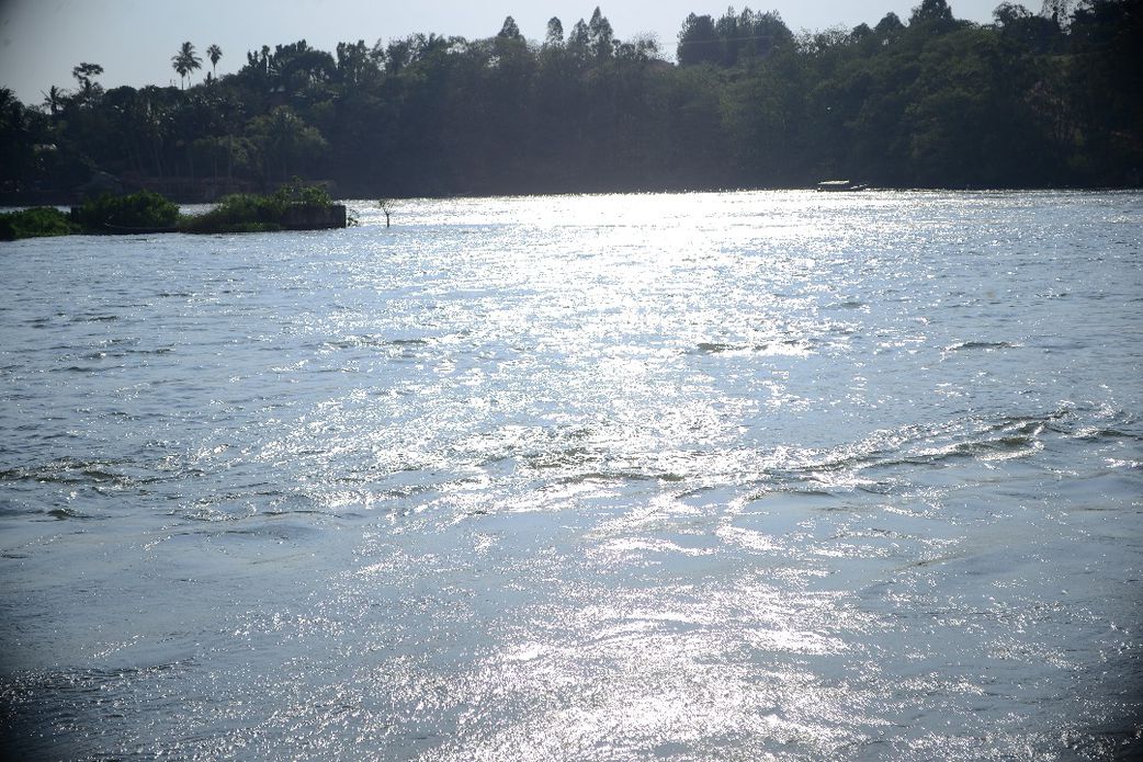 Sauce of the Nile Fest took place at Nile Park Resort.