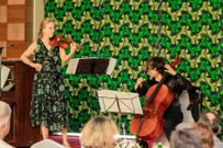 the Brazilian cellist conceived a sustainable project