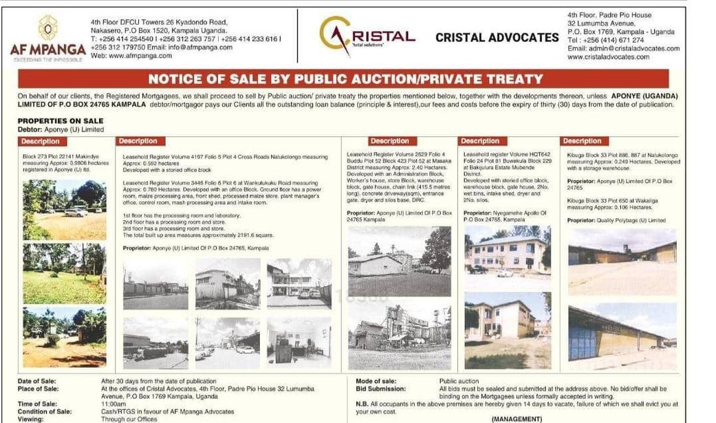 Properties owned by Aponye at risk of auction over loans