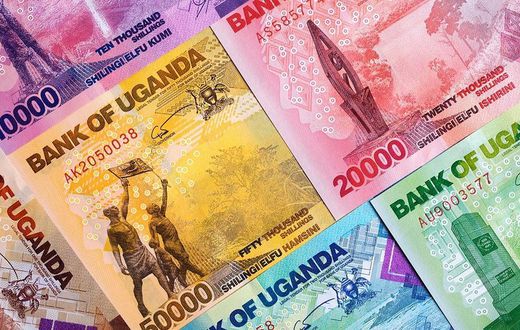 Uganda money in notes