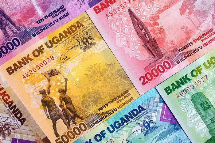 Uganda money in notes