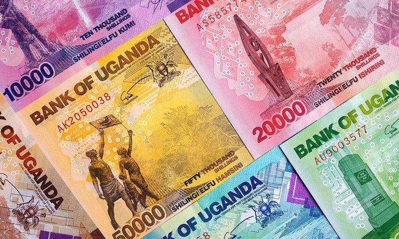 Uganda money in notes