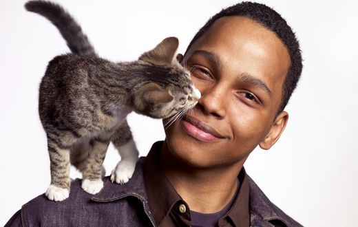 Why does your cat lick you? [LoveToKnowPets]