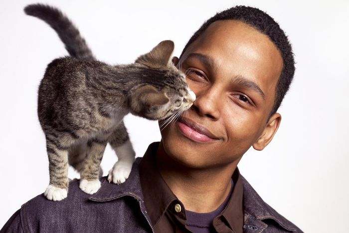 Why does your cat lick you? [LoveToKnowPets]